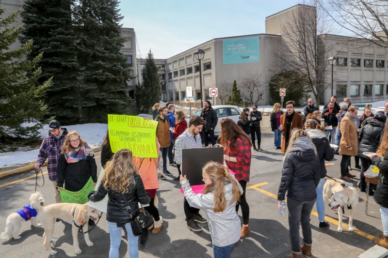 La manifestation s'est déroulée de façon pacifique, le 11 avril, entre midi et 13h devant le Cégep de Sorel-Tracy. (Photo: Pascal Cournoyer)