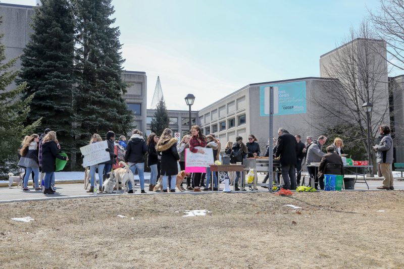 La manifestation s'est déroulée de façon pacifique, le 11 avril, entre midi et 13h devant le Cégep de Sorel-Tracy. (Photo: Pascal Cournoyer)